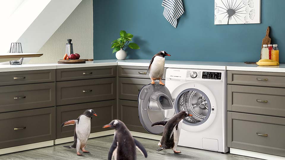 no-borders-with-nature-penguin Penguins surrounding a Samsung AddWash in the kitchen
