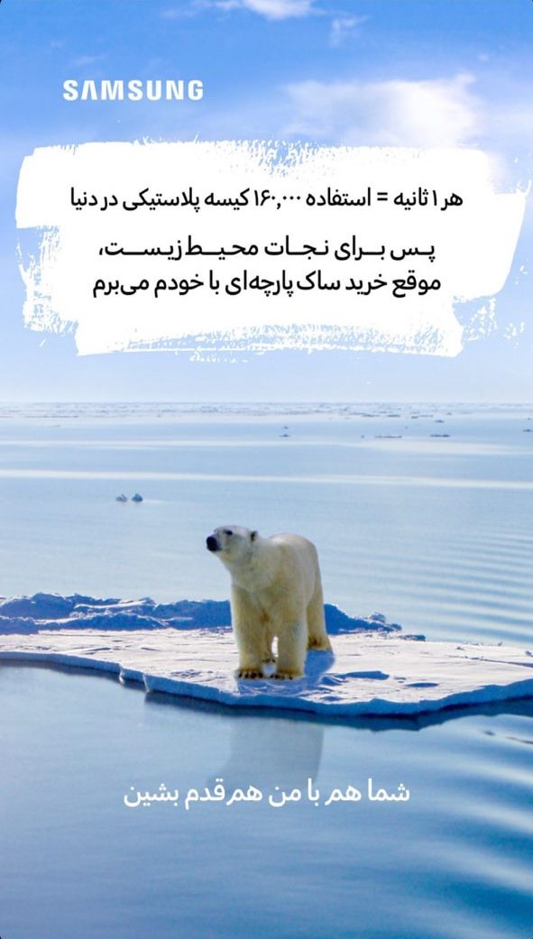 no-borders-with-nature-pledge-polar-bears