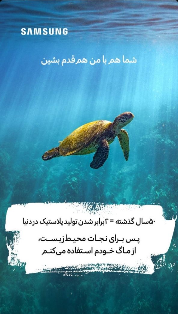 no-borders-with-nature-pledge-turtles