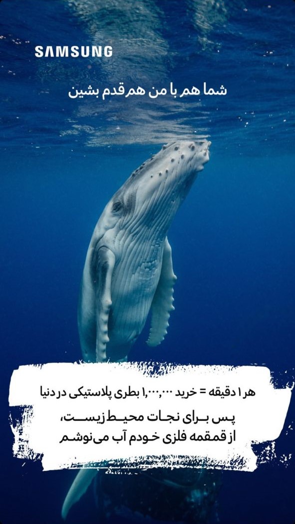 no-borders-with-nature-pledge-whales