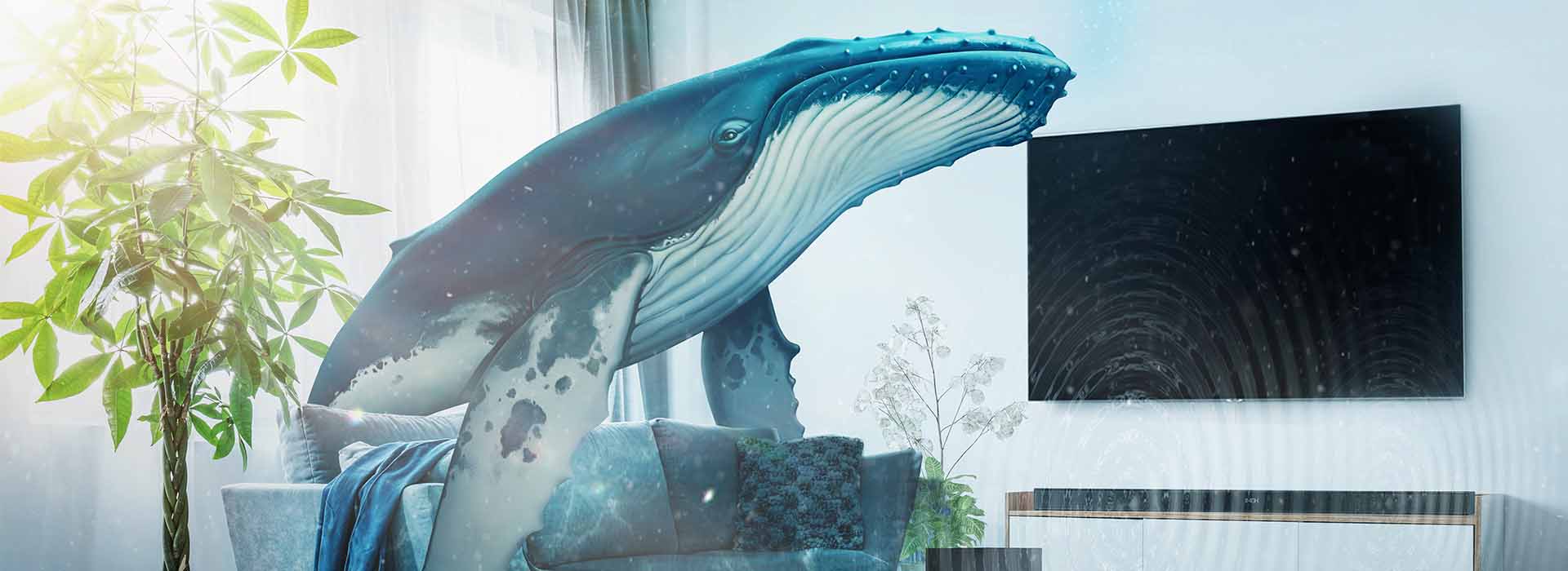 no-borders-with-nature-whale A whale coming into a bright living room through the window - Samsung Soundbar, TV and a house plant can be seen in the room