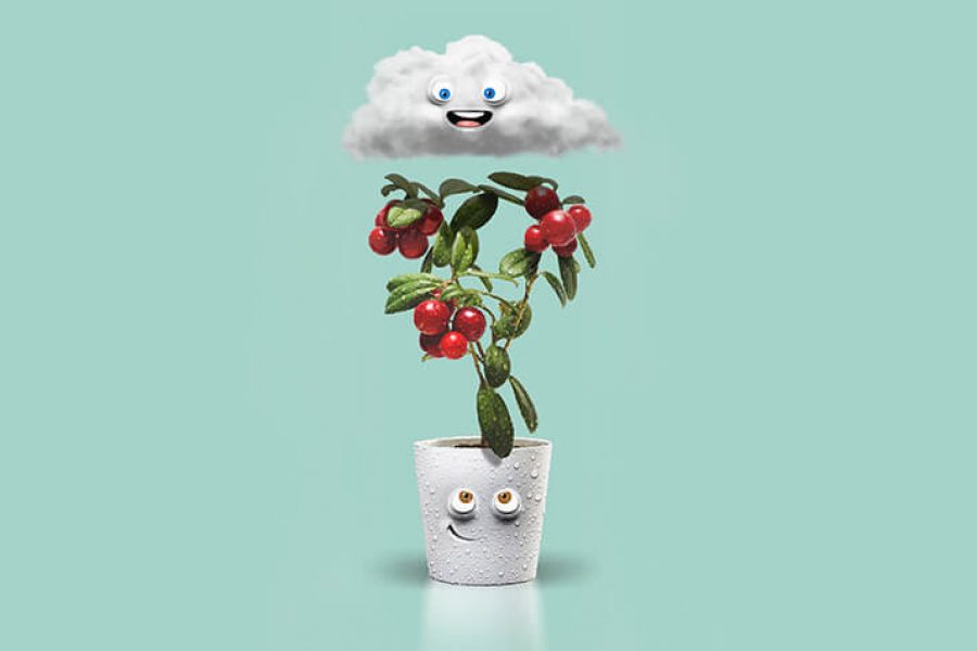 یخچال آرتی 7000، یخچالی برای تازگی!